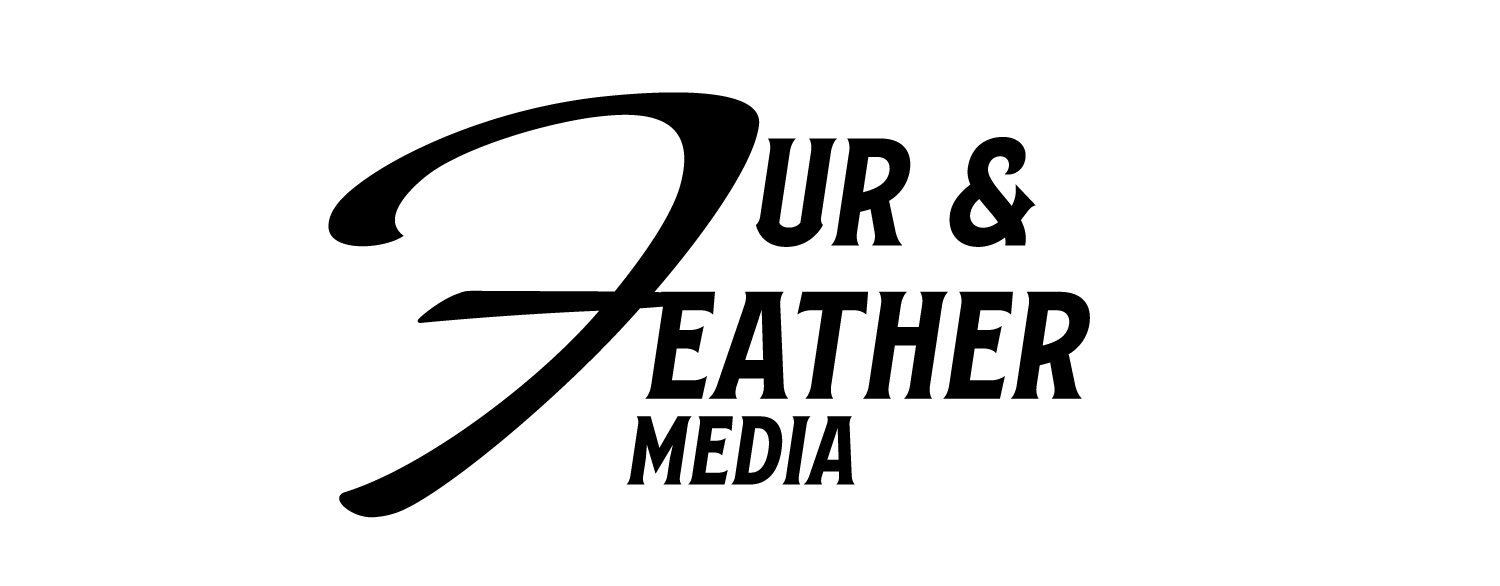 Silhouette of a giraffe standing tall.